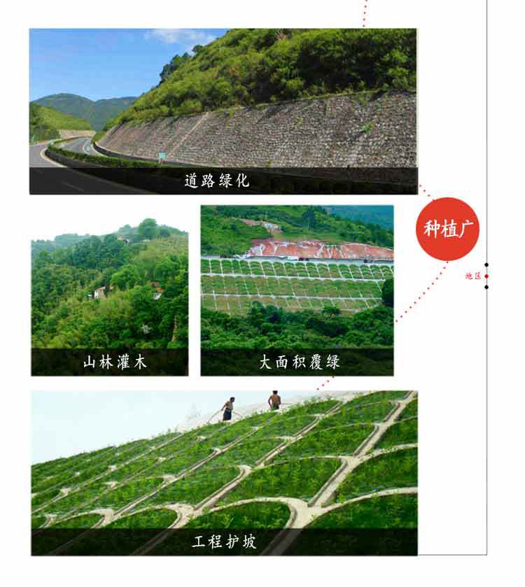 1773709316433596.jpg 18a5d45b09a6214b53e9c7a8c556e907_format,png.jpg