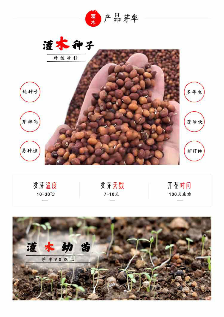 1773709320981208.jpg 130b2ccb03d3feb308fabb9bebc1e0d6_format,png.jpg