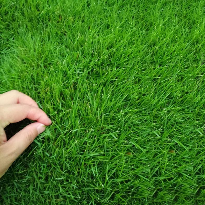 1773714225206699.jpg ec24c9d53646240317322c90b518aafb_O1CN01aNCKeQ2ALF4fYifT8_!!2215572038186-0-cib.jpg