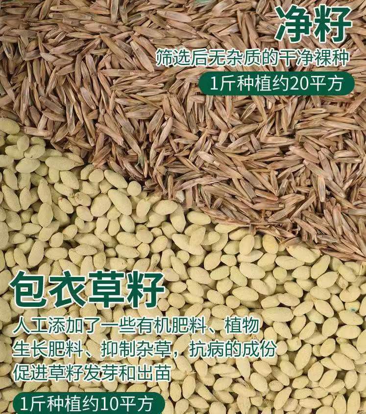 1773714309549404.jpg bc2b489bb53b6254753f37f887a79653_O1CN01B4OkZb25CTKEoLN4v_!!2214742147490-0-cib___r__=1668162727856.jpg