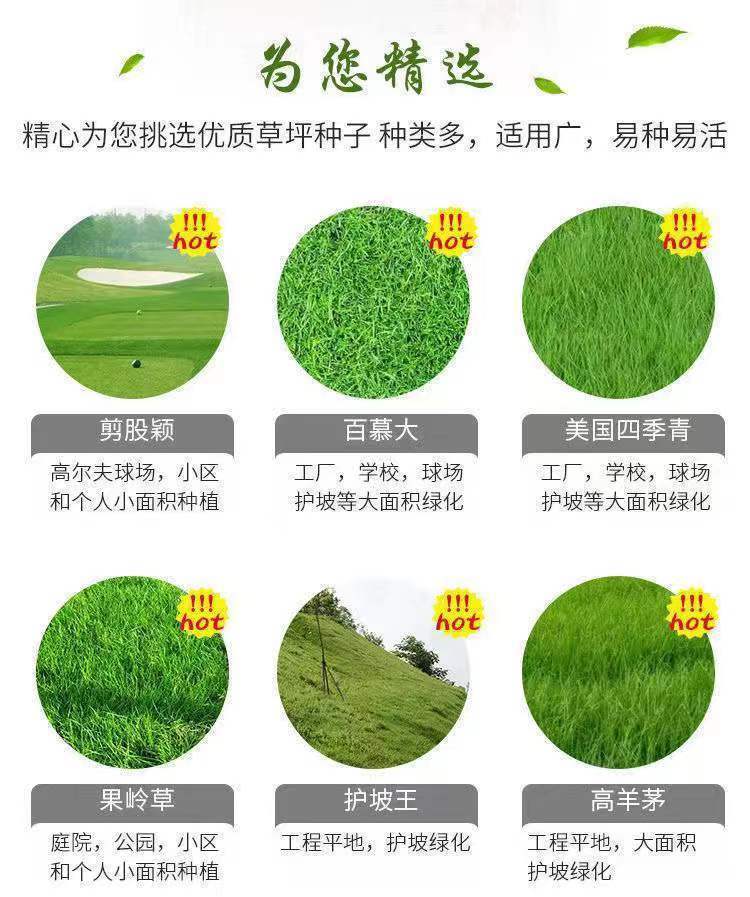 1773714318979847.jpg 5135018b800ece02ddf5e27a61df5f02_O1CN01fErUNx25CTKGFUsxK_!!2214742147490-0-cib___r__=1668162727856.jpg