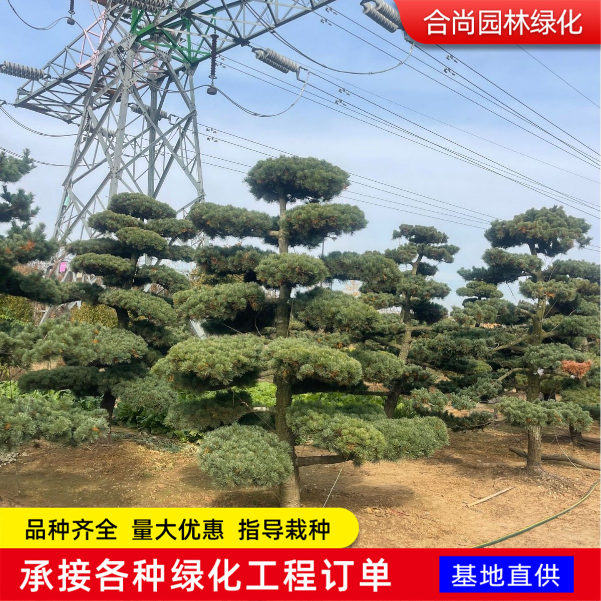 1773717946595764.jpg 23194b5517472d87be51153a1efbb5cc_O1CN01wvpynq1O0XrHWq7eC_!!2221697211643-0-cib.jpg