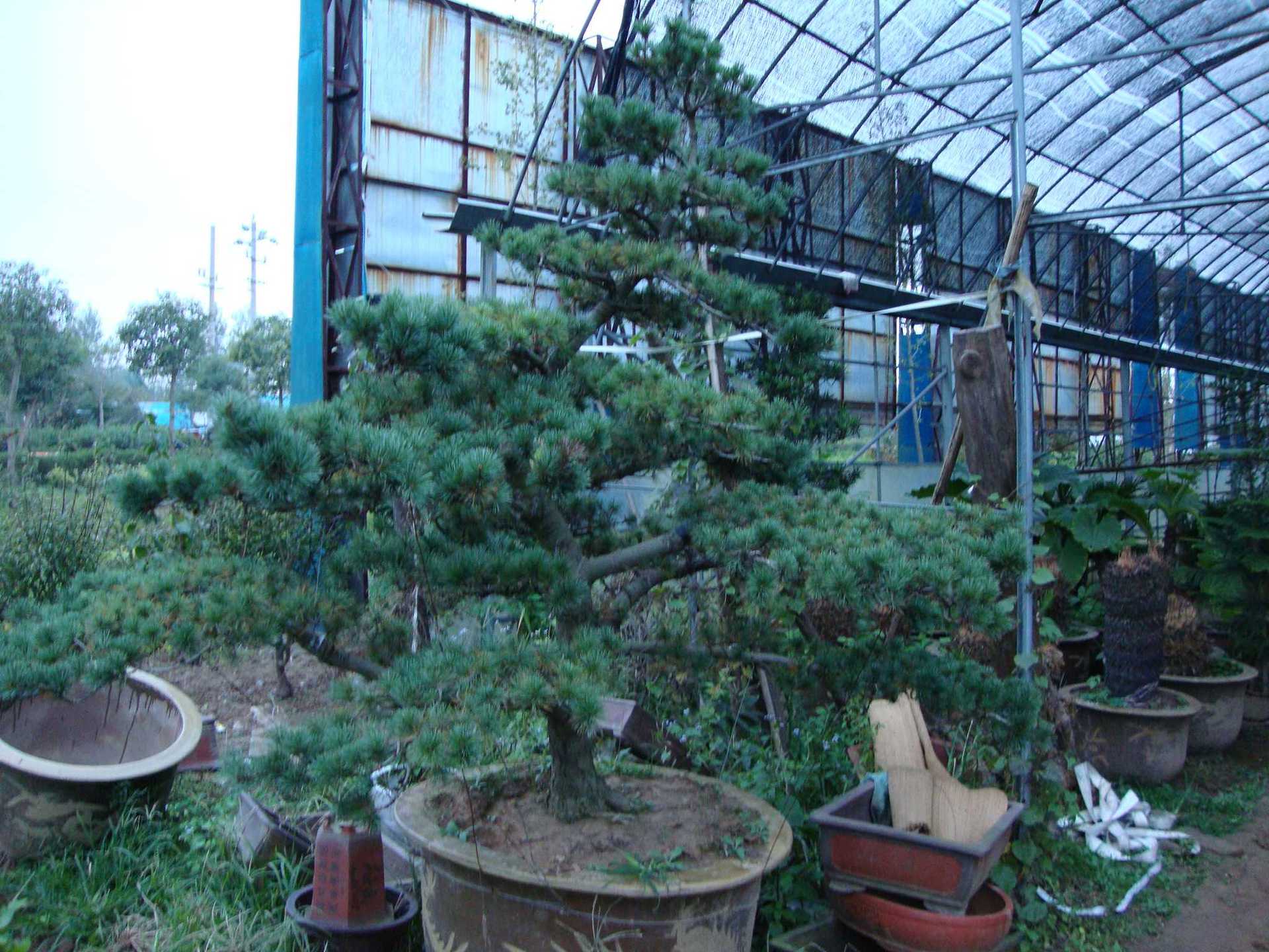 1773717979447552.jpg bbb2de85c6f347b85d3bf8407fb06869_O1CN01acAy9R1O0XrDnyfnE_!!2221697211643-0-cib.jpg